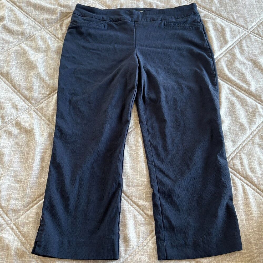 Hilary Radley: Women's Navy Blue Pull-On Ankle Pants L G Slit Hem
